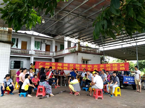 茂名实践学习研讨会